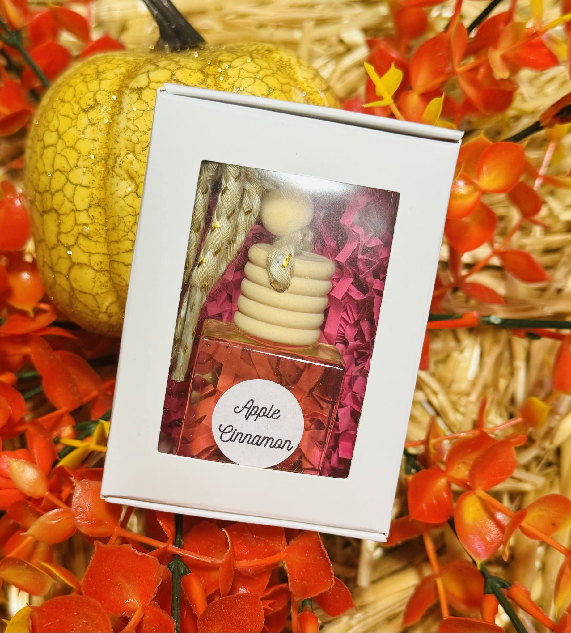 Car Apple Cinnamon Diffuser