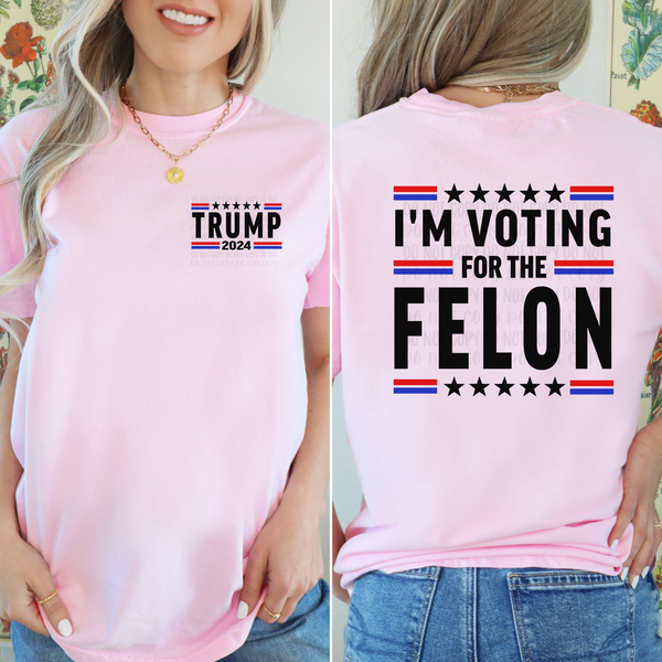 Voting For A Felon